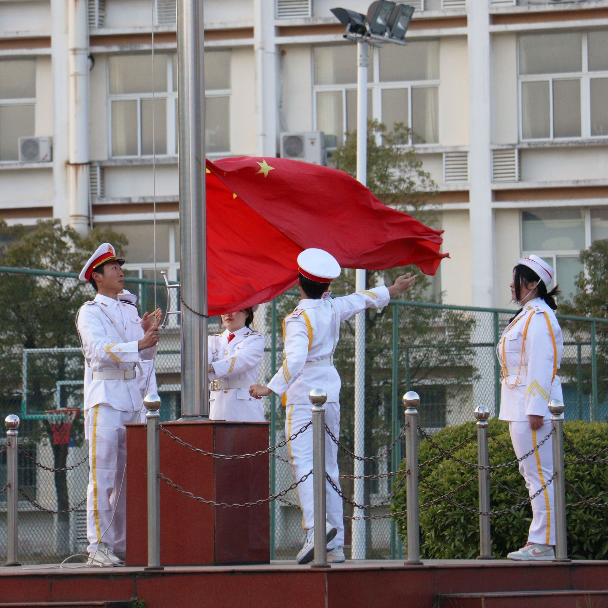 智博足球官网入口1919