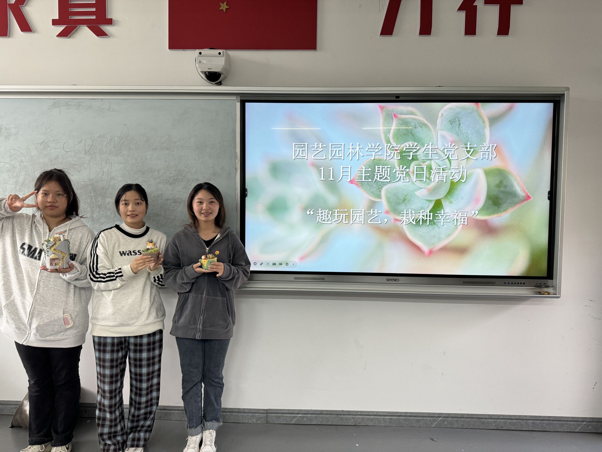 智博足球官网入口1919