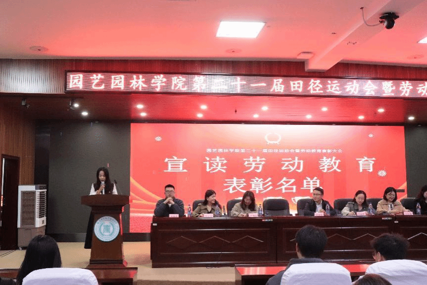 智博足球官网入口1919