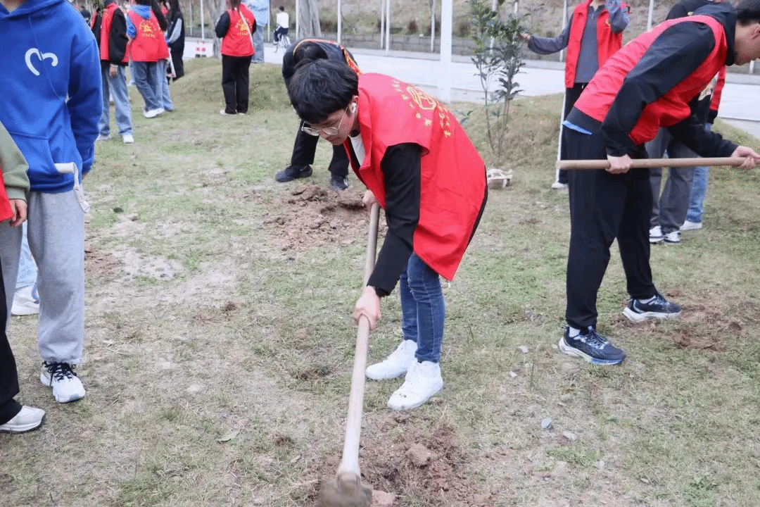 智博足球官网入口1919