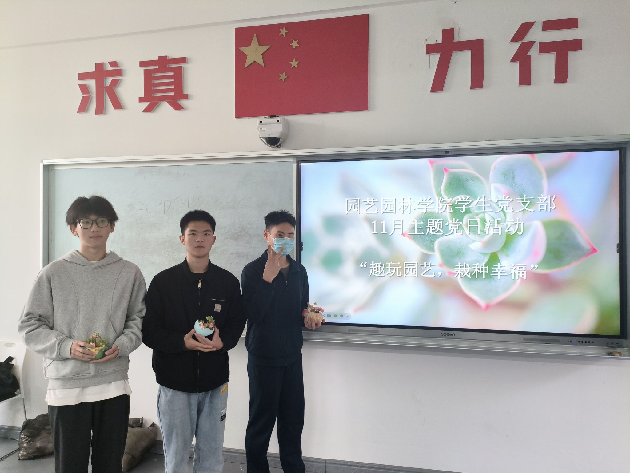 智博足球官网入口1919
