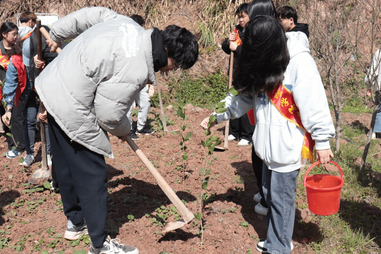 智博足球官网入口1919