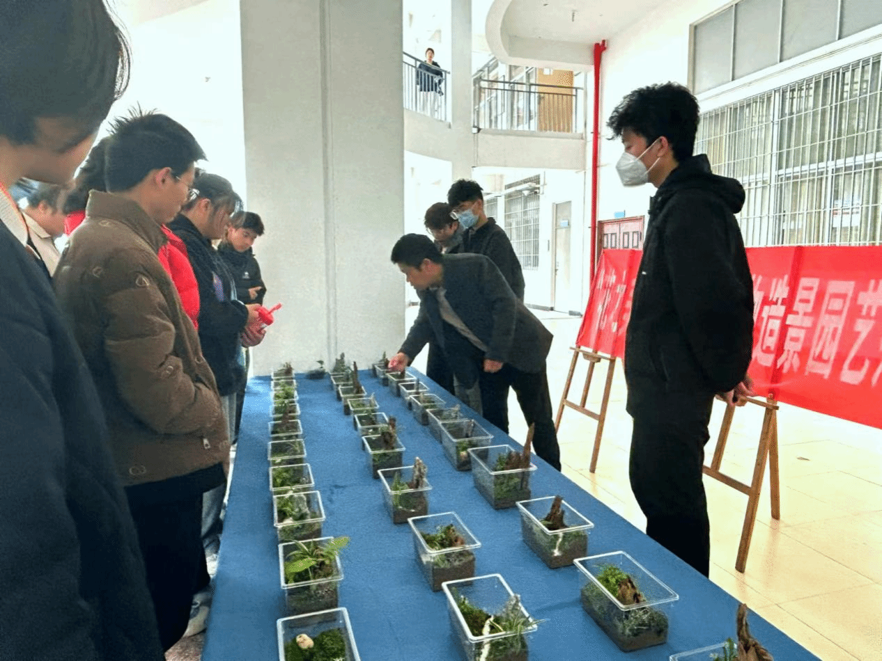 智博足球官网入口1919