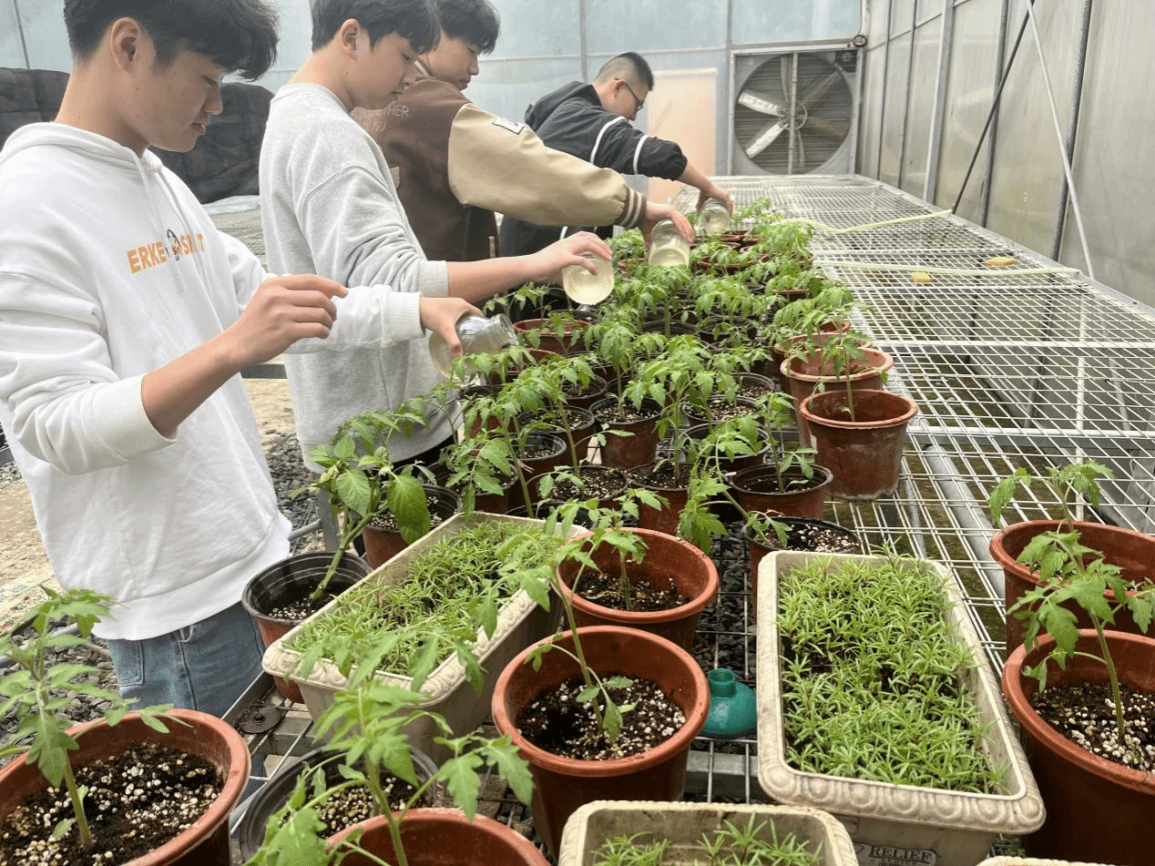 智博足球官网入口1919
