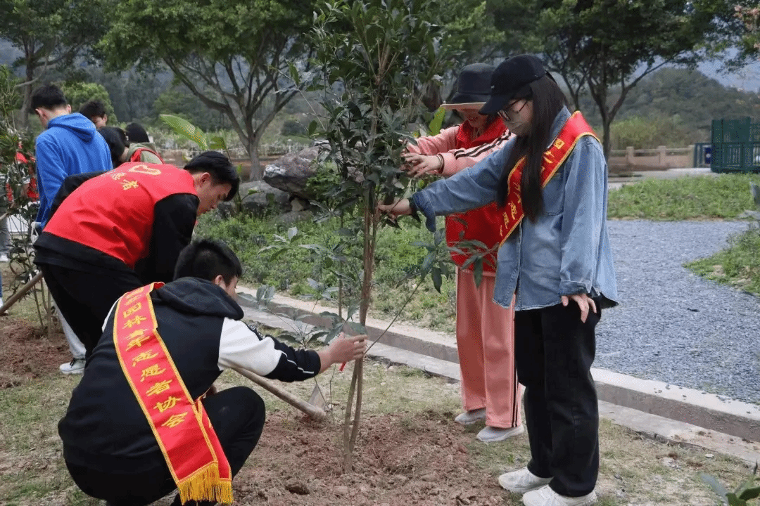 智博足球官网入口1919