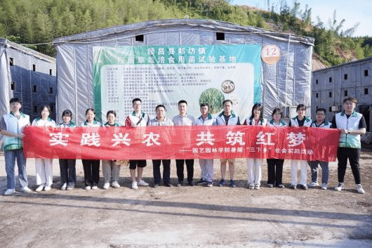 智博足球官网入口1919