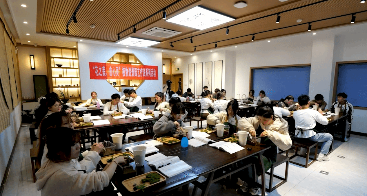 智博足球官网入口1919