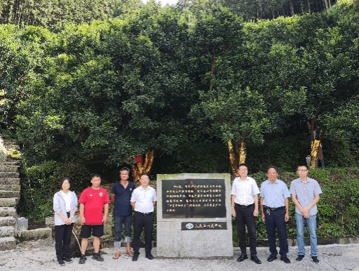 智博足球官网入口1919