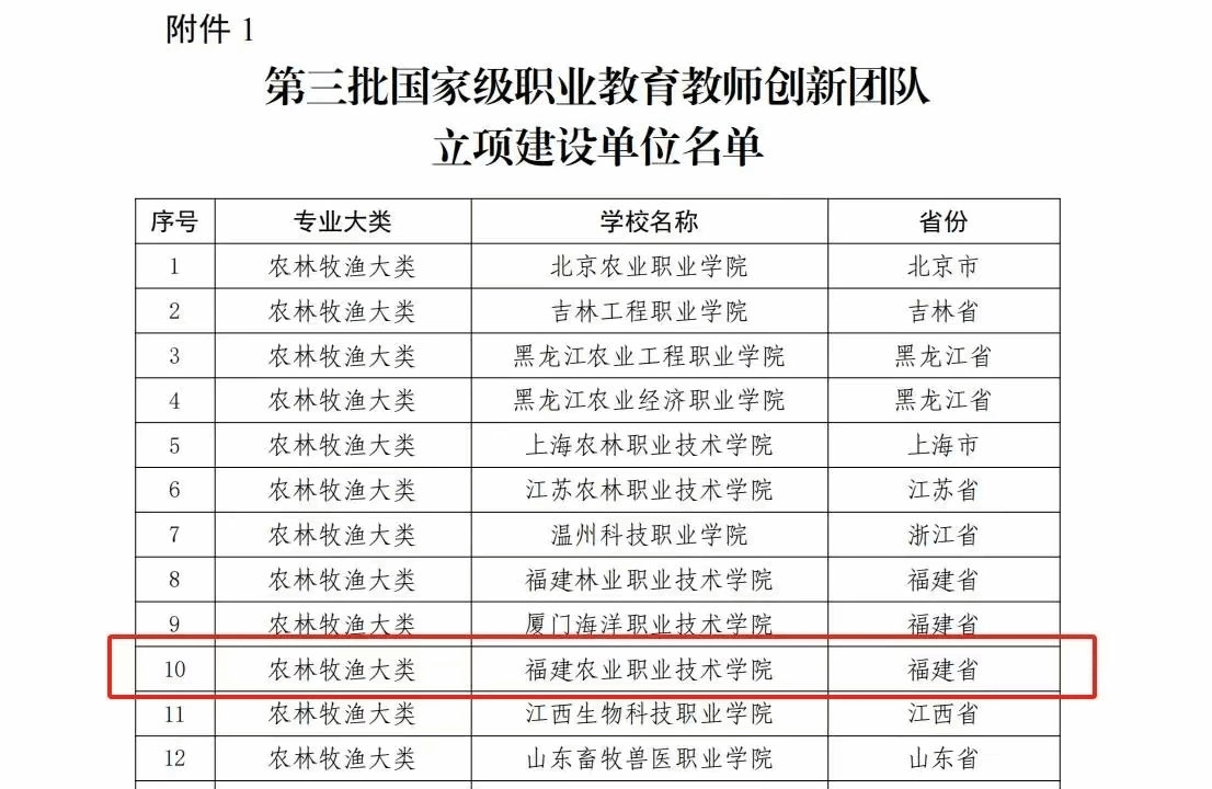 智博足球官网入口1919