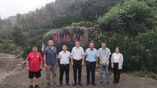 智博足球官网入口1919