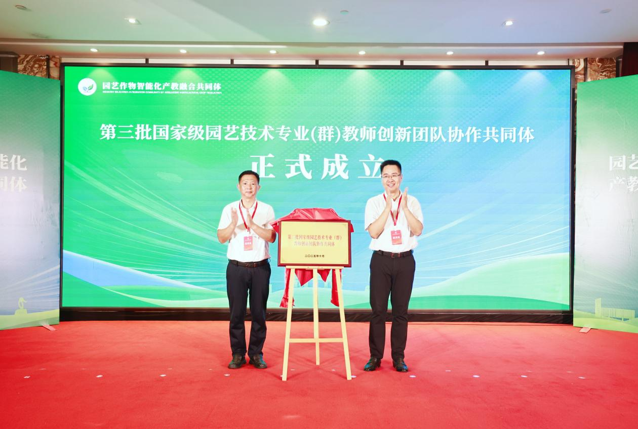 智博足球官网入口1919