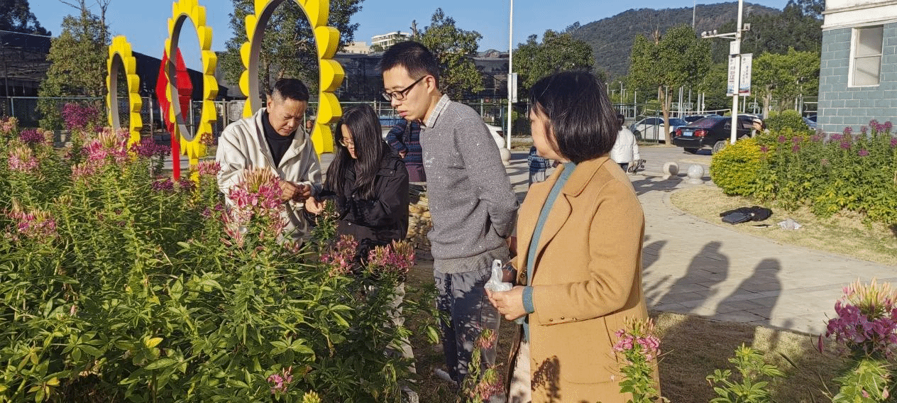 智博足球官网入口1919