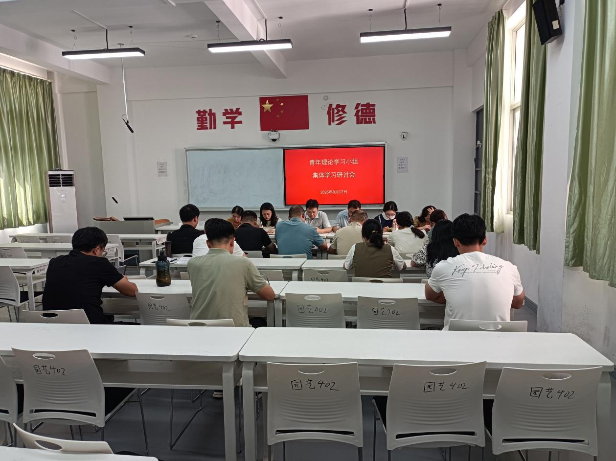 智博足球官网入口1919