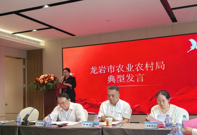 智博足球官网入口1919