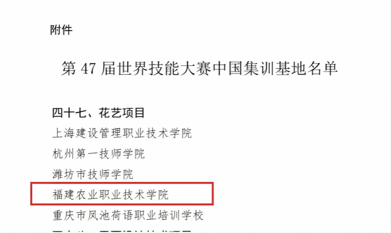 智博足球官网入口1919