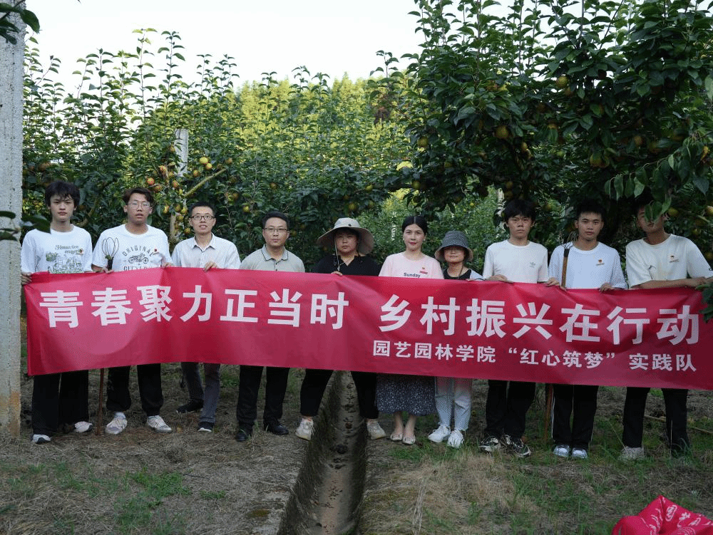 智博足球官网入口1919