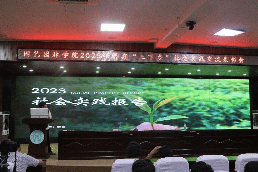 智博足球官网入口1919