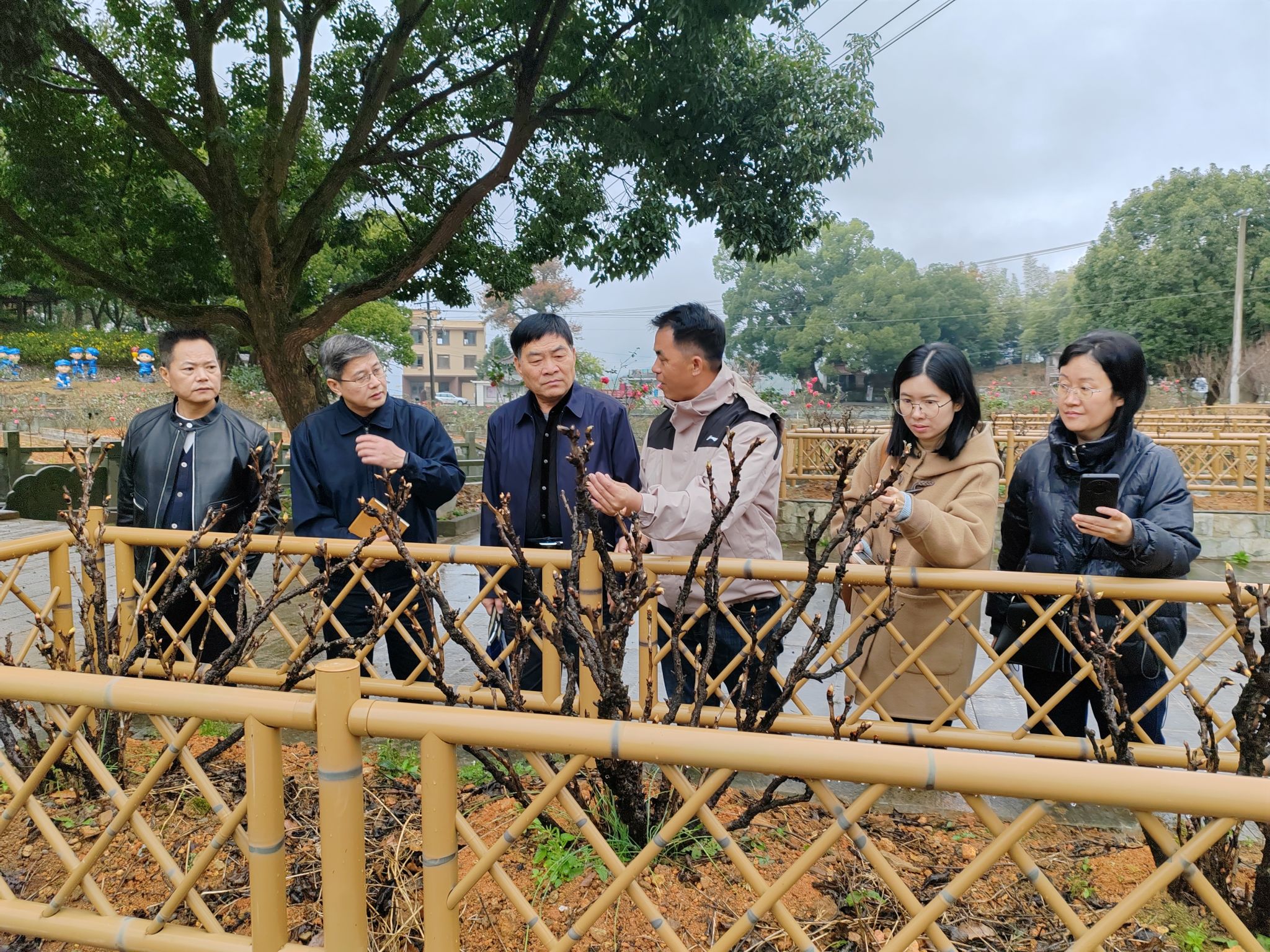 智博足球官网入口1919