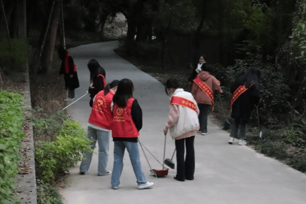 智博足球官网入口1919