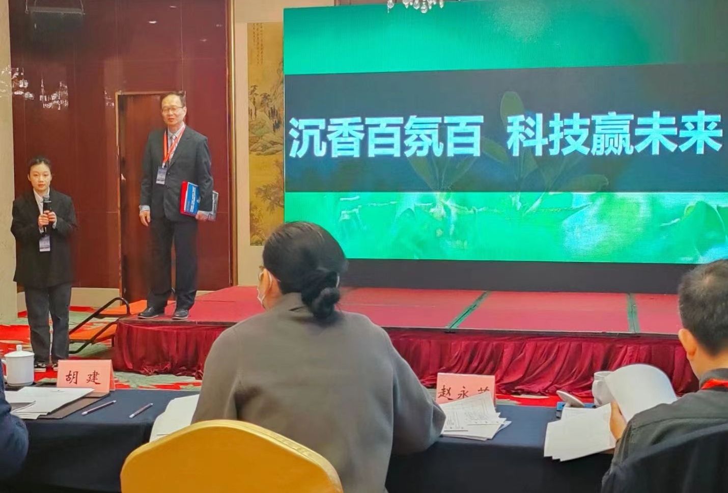智博足球官网入口1919