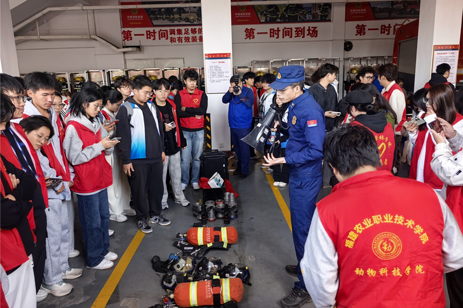 智博足球官网入口1919