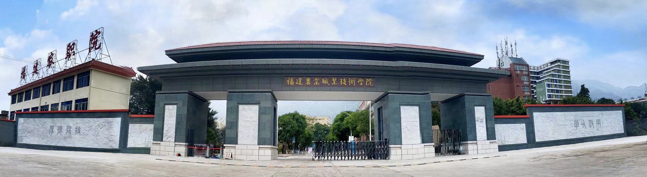 智博足球官网入口1919