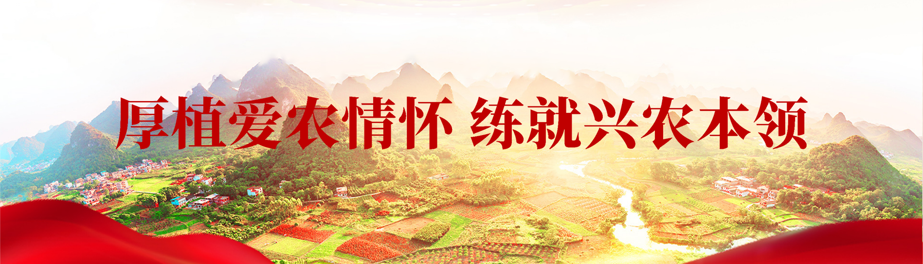 智博足球官网入口1919